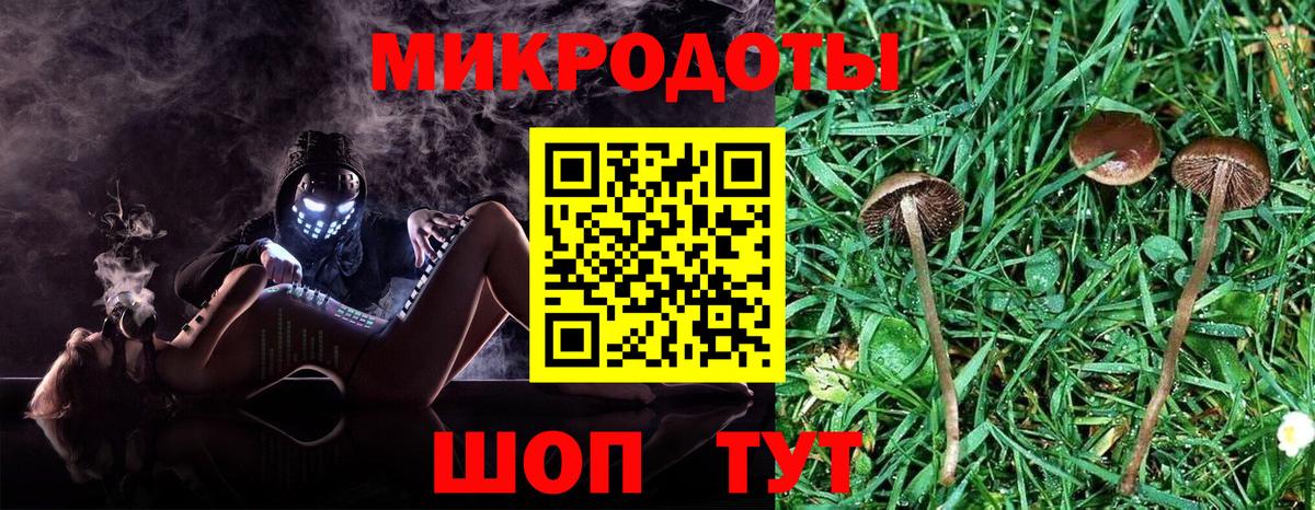 Псилоцибиновые грибы Cubensis Нижнеудинск