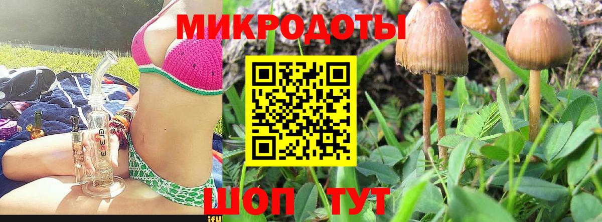 Нижнеудинск  Псилоцибиновые грибы MAGIC MUSHROOMS  Вход с VPN 